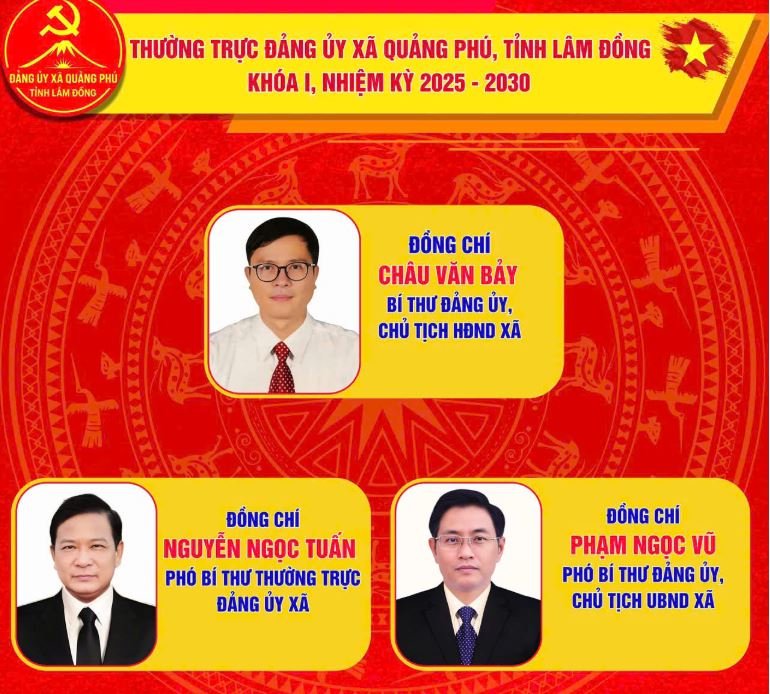 Đảng ủy xã